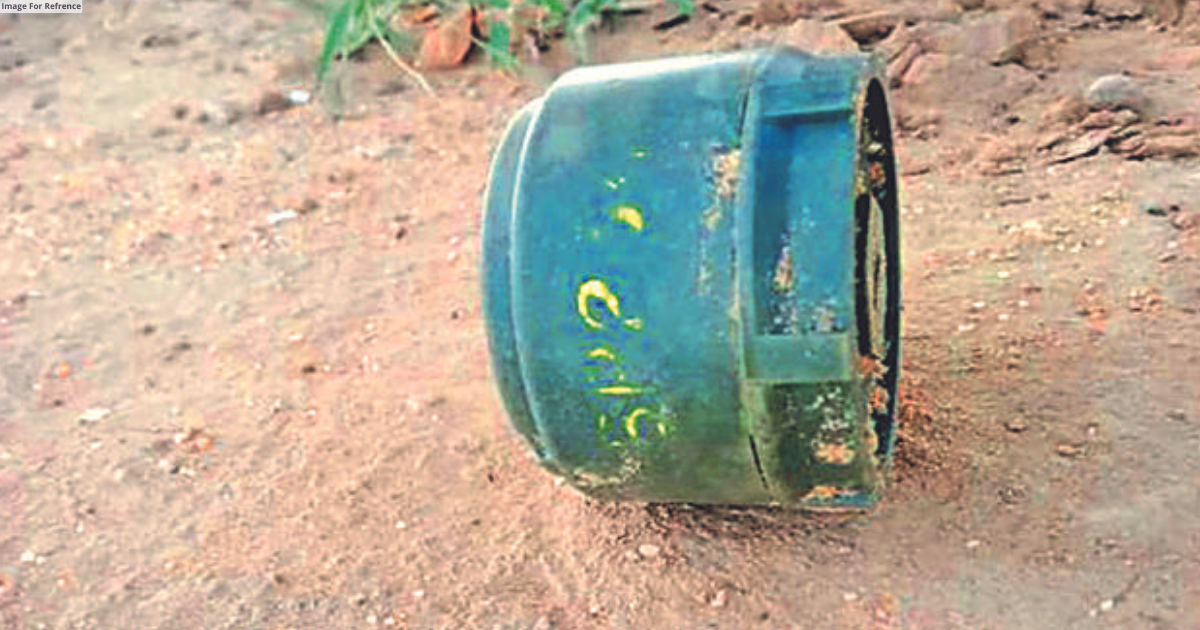 Live landmine creates sensation in Jaisalmer